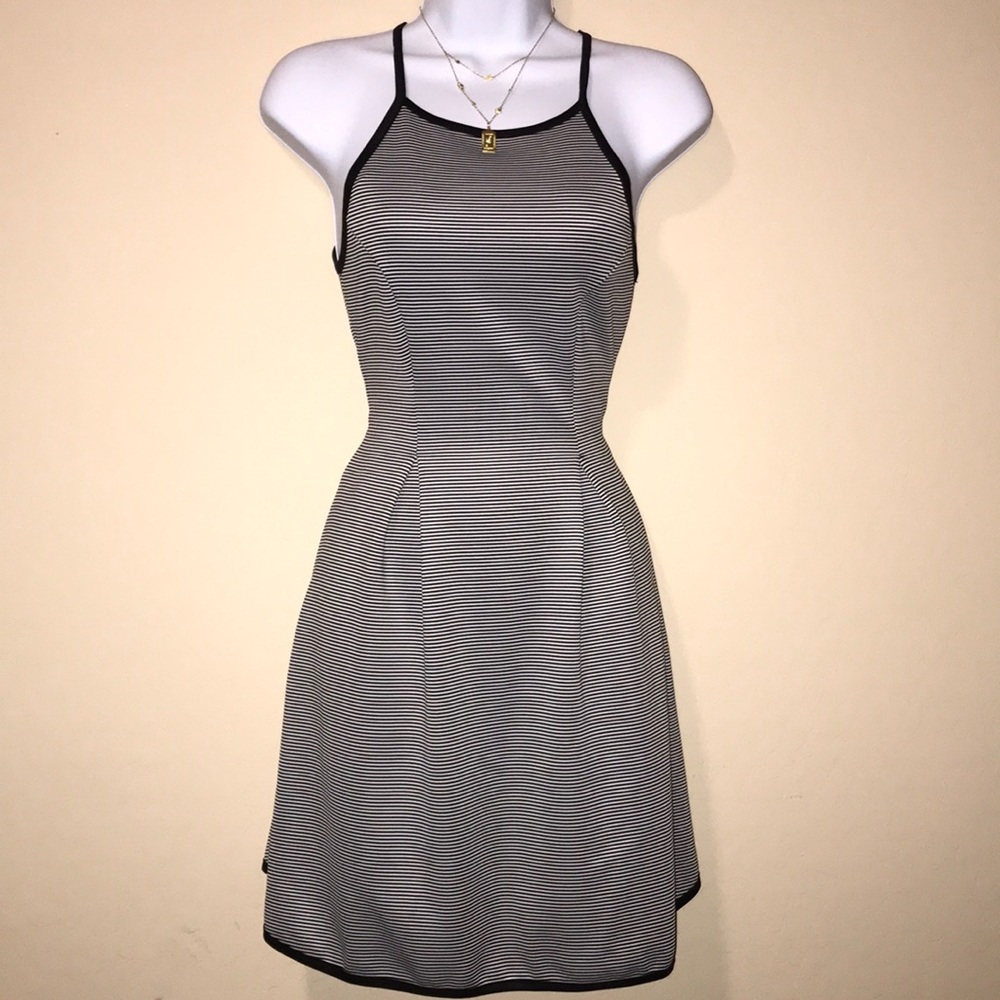 Monteau Skater Dress